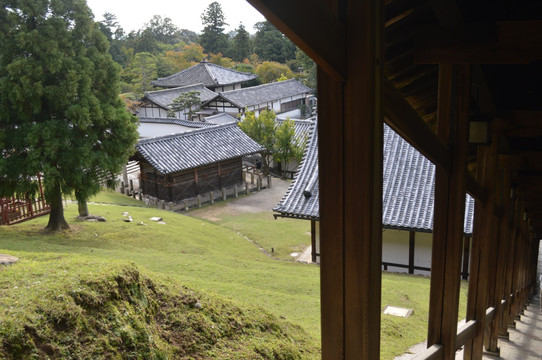 奈良东大寺