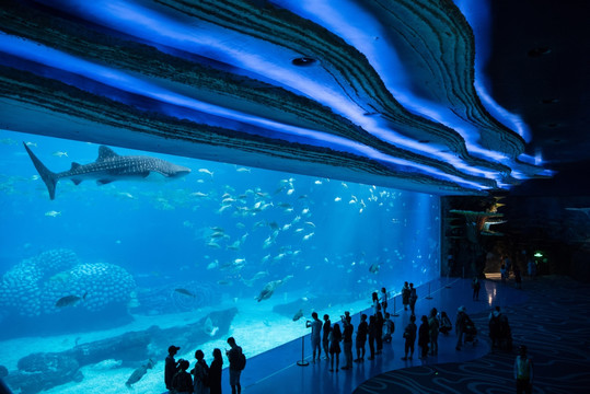 壮观水族馆海洋馆