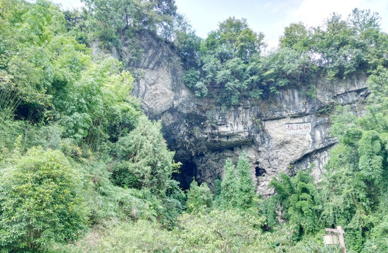 酉阳桃花源