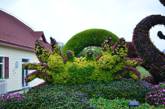 植物雕塑