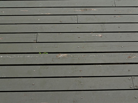 广场地板 木地板 纹理素材
