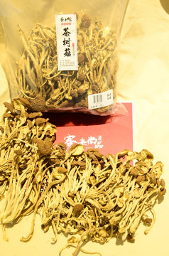 茶树菇