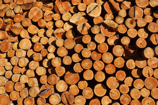 商品木材