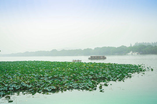 西湖