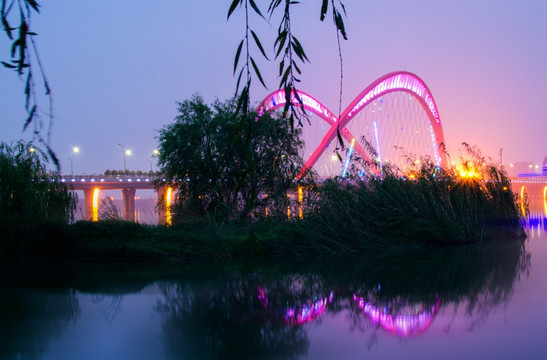 艾溪湖大桥 大桥夜景