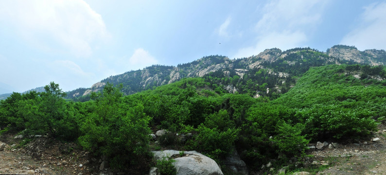 大山风景  全景图