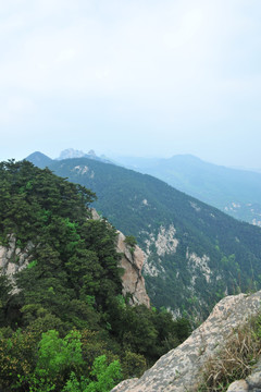 山沟 山区 山石