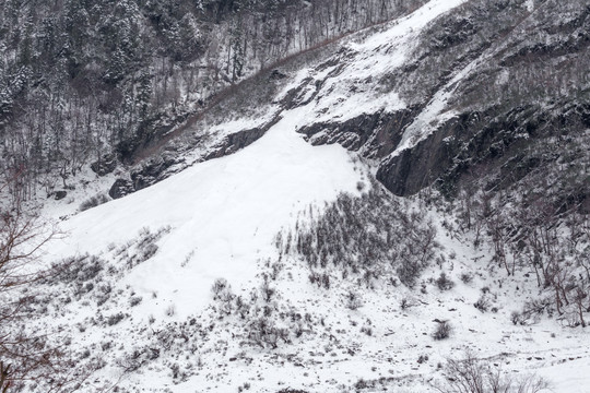 雪景