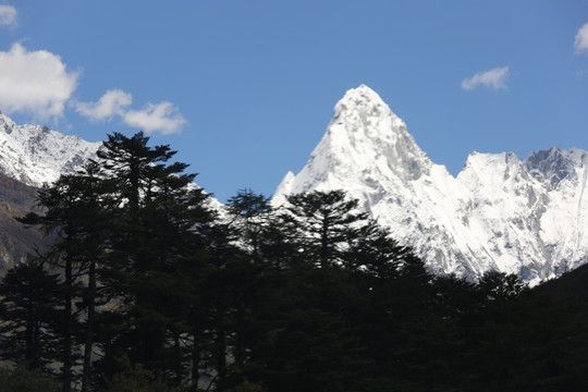 雪山 林芝风光