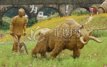 草雕耕地