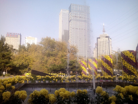 菊花展风景