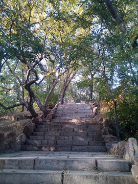 上山台阶