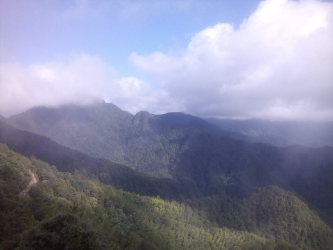 山中云雾