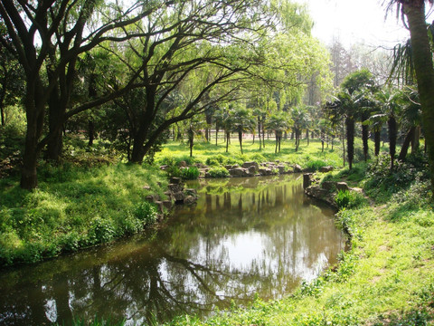 青山绿水