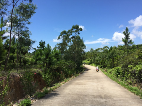 道路 乡间小路 环保道路