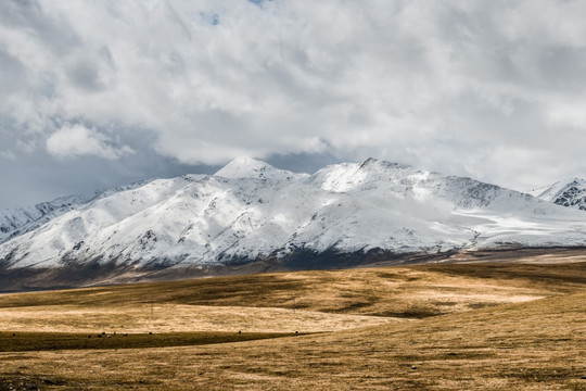 西藏安多妥巨拉山