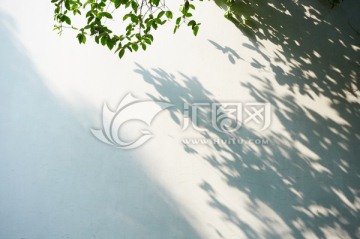 阳光文艺树影