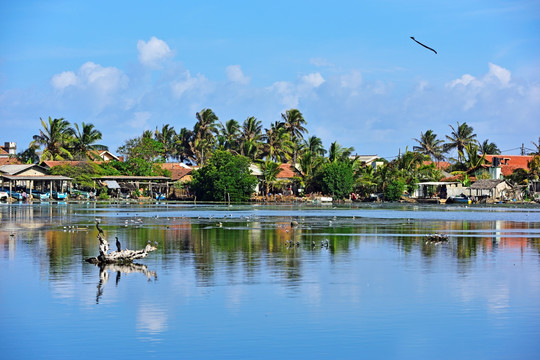 斯里兰卡 湿地
