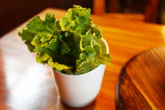 生菜