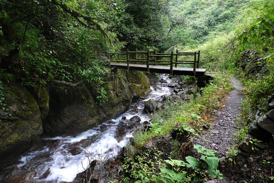 小桥流水