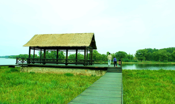 湿地草屋