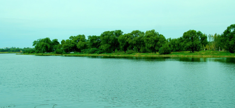 湿地绿岛