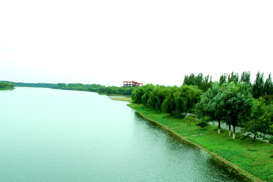 湿地绿堤