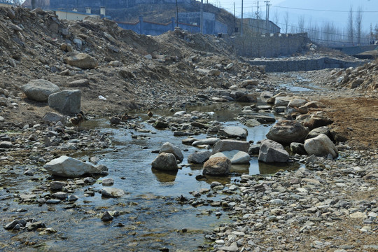 小河流水 河底石头