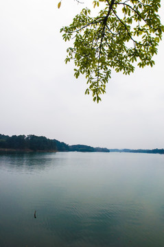 龙水湖