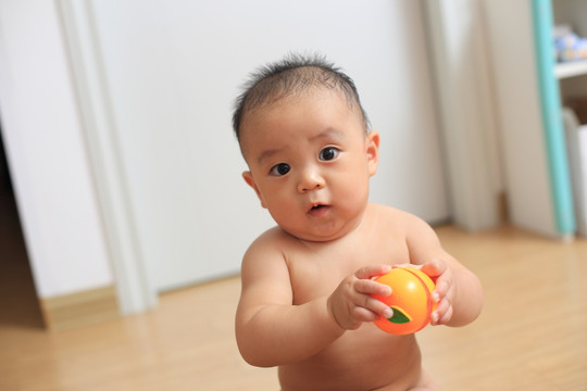 胖胖的婴儿双手握着玩具看镜头