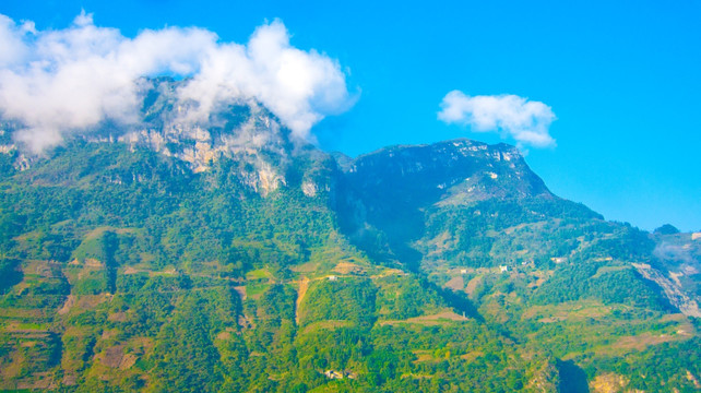 高山 白雾