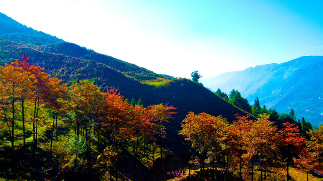 秋景 山岭