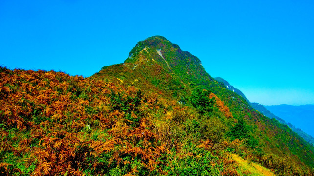 山峰 秋色