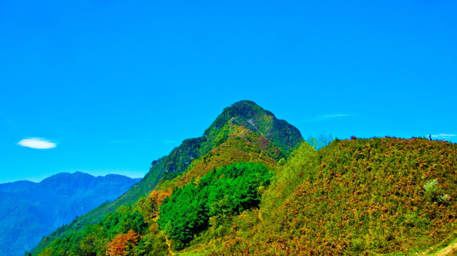 山峰 大山