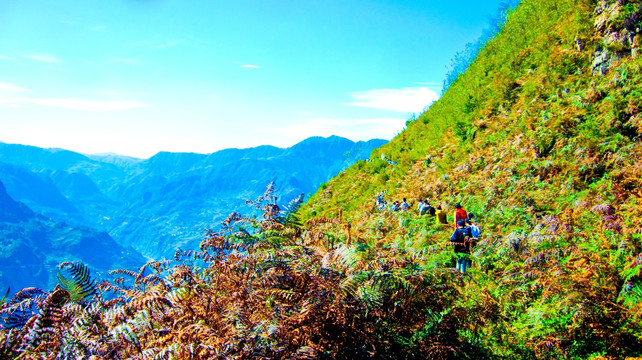 秋游 山岭