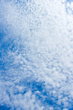 蓝天白云 卷积云图片 天空