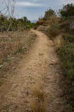 乡间小路