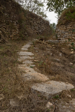 乡间小路