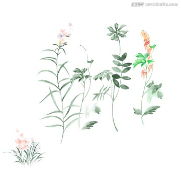 手绘花草 手绘叶子