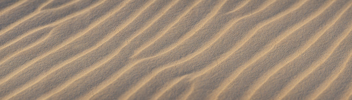 沙地风纹特写宽幅