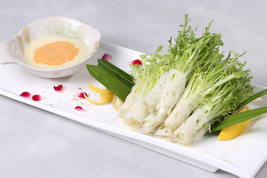 沙拉菜菜 蔬菜沙拉 鲜蔬沙拉