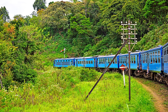 高山火车 斯里兰卡