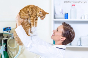 女兽医微笑着抱着一只猫