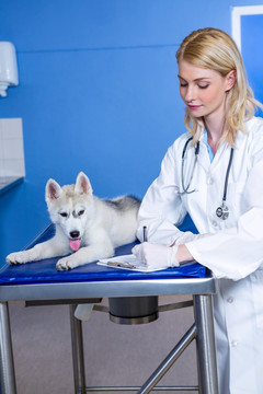 兽医为小狗做检查并做记录