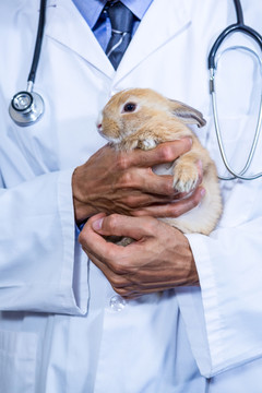 抱着兔子的兽医