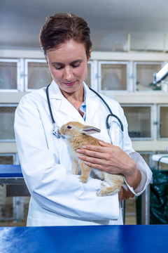 微笑着抱着兔子的女兽医
