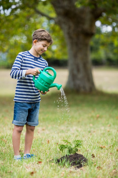 在给植物浇水的男孩