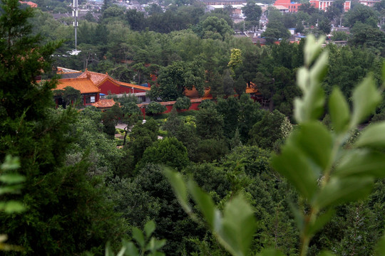绿丛中的皇城