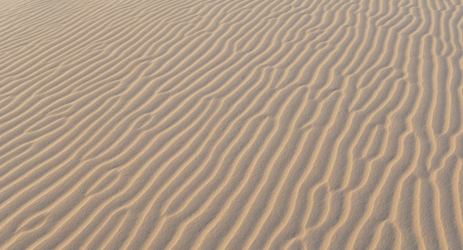 沙地风纹宽幅