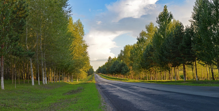 林间公路宽幅